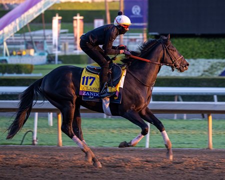 Breeders' Cup Classic contender Zandon is one of three World Championship starters bred by the late Brereton Jones