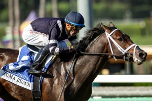 Endlessly wins the 2023 Zuma Beach Stakes