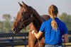 Student Avery Cummings works with a yearling in preparation for the upcoming Fasig-Tipton Kentucky October yearling sale. 
Maine Chance Farm at the University of Kentucky in Lexington, Ky., on Oct. 12, 2023.  





