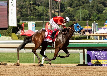 Chatalas wins the Chandelier Stakes at Santa Anita Park