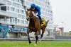William Buick guides Nations Pride (IRE) to victory in the $750,000 Canadian International at Woodbine. Nations Pride is owned by Godolphin and trained by Charles Appelby.