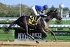 Zandon wins the Woodward Stakes on Sunday, October 1, 2023 at Belmont at the Big A