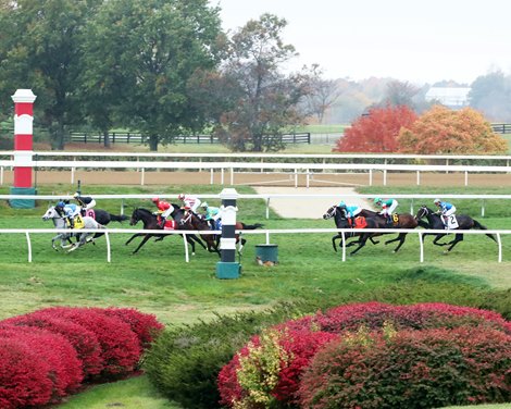 Big prize money and turf racing are the highlights of the Keeneland Fall Meet