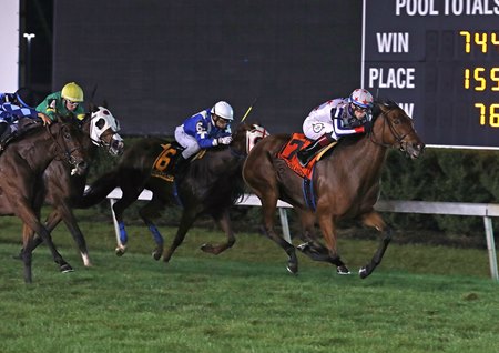 Turf Racing at Meadowlands