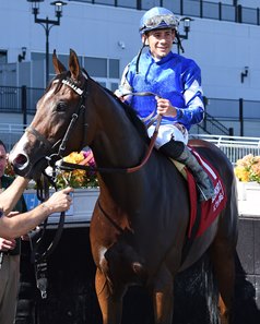 Caramel Swirl after the Gallant Bloom Stakes at Belmont at the Big A 