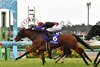 Mama Cocha wins the 2023 Sprinters Stakes at Nakayama Racecourse