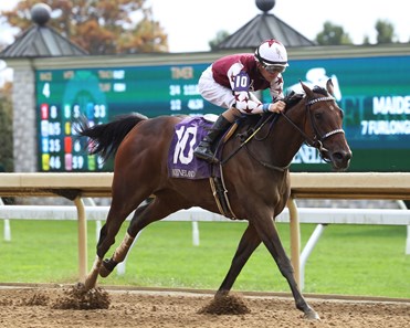 Thorpedo Anna - Horse Profile - BloodHorse