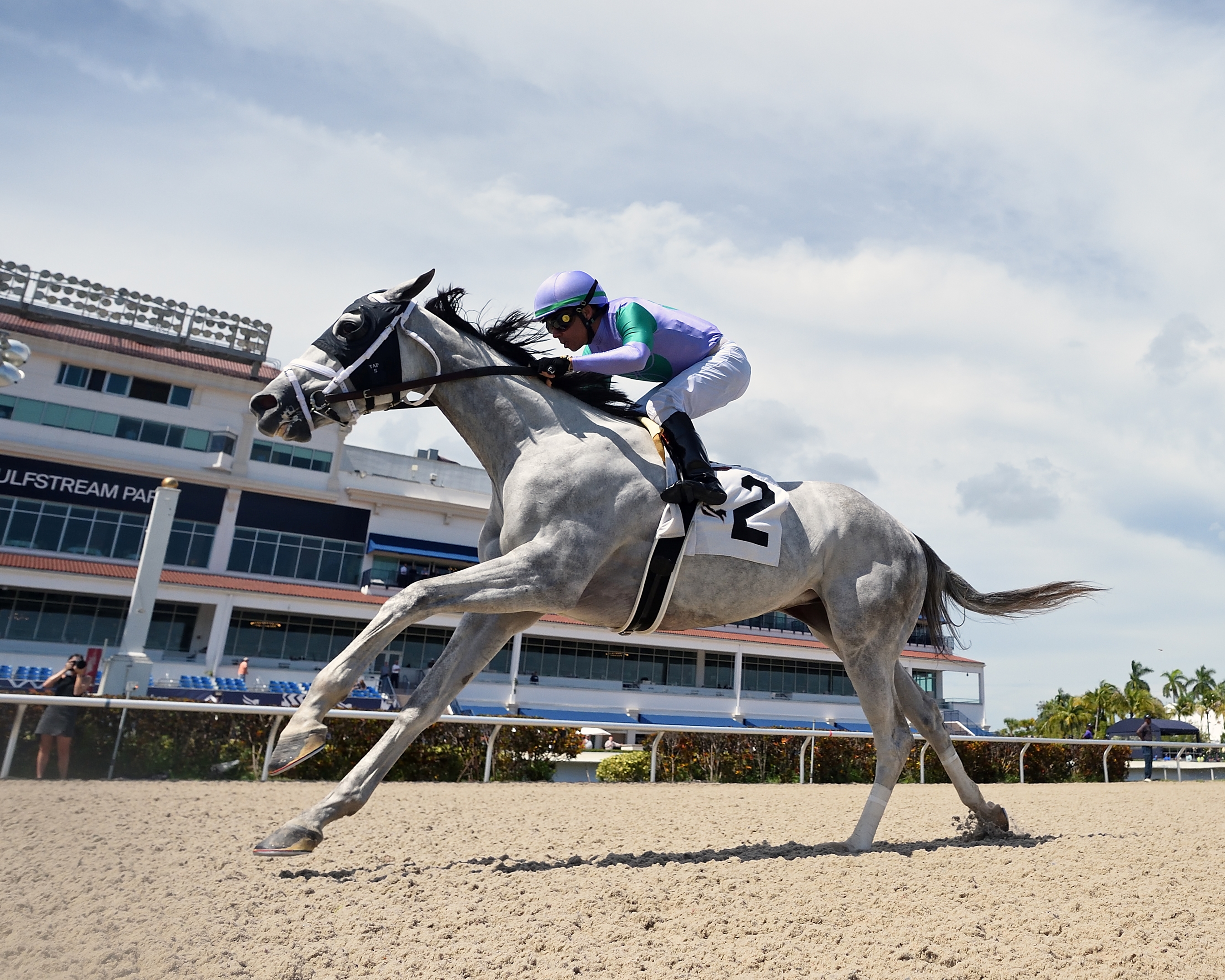 Silver Ticket - Horse Profile - BloodHorse