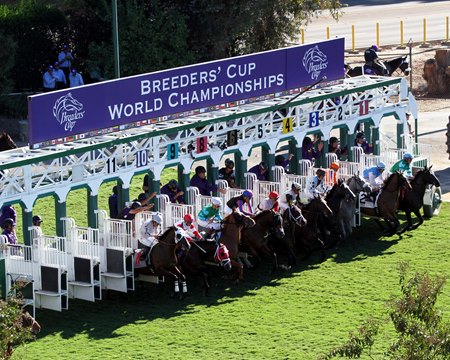 Also-eligible entries help ensure that Breeders' Cup races feature fields as large as possible while providing added opportunities for horsemen