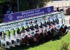 The Juvenile Turf Sprint Stakes start on the downhill turf course at Santa Anita on November 5, 2016. Photo By: Chad B. Harmon