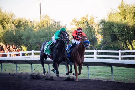 Big Fresno Fair Postpones Horse Racing in 2025