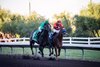 Clovisconnection wins the Harris Farms Stakes on Saturday, October 7, 2023 at Fresno