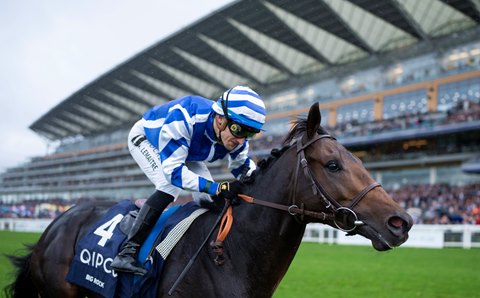 World's top-rated horse, Equinox, wins in Japan as Royal Ascot wraps up in  England 