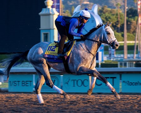 Saudi Crown trains for the 2023 Breeders' Cup Classic at Santa Anita Park