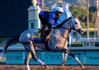 Saudi Crown trains Oct. 31 before a start in the Breeders&#39; Cup Classic at Santa Anita Park