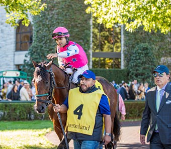 Raise Cain - Horse Profile - BloodHorse