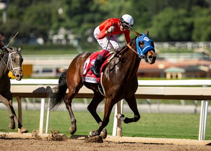 Chatalas - Horse Profile - BloodHorse