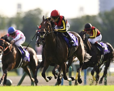 Liberty Island wins the 2023 Shuka Sho at Kyoto Racecourse