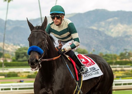 Adare Manor after winning the 2023 Zenyatta Stakes at Santa Anita Park