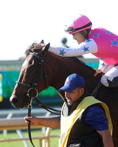 Raise Cain - Horse Profile - BloodHorse
