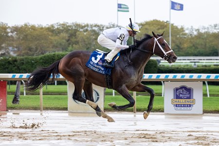 Timberlake wins the 2023 Champagne Stakes at Aqueduct Racetrack