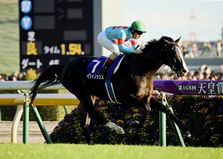 World's top-rated horse, Equinox, wins in Japan as Royal Ascot wraps up in  England 