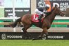 Jockey Javier Castellano guides Fev Rover to victory in the $750,000 E. P. Taylor Stakes for owner Tracy Farmer and trainer Mark Casse