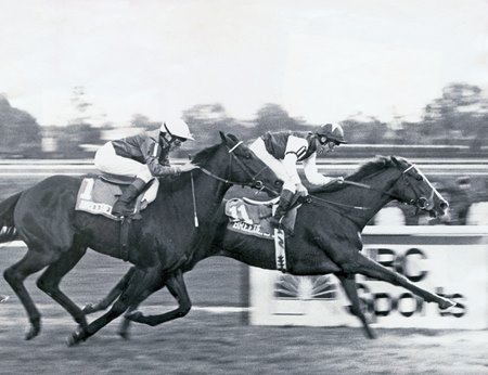 Pebbles, with Pat Eddery aboard, defeats Strawberry Road and Steve Cauthen in the 1985 Breeders' Cup Turf at Aqueduct Racetrack
