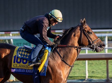 Arabian Knight working at Santa Anita Park