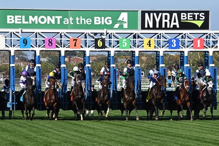 Racing during the Belmont at the Big A meet at Aqueduct Racetrack