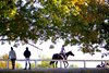 Scenes at the 2023 Thoroughbred Makeover