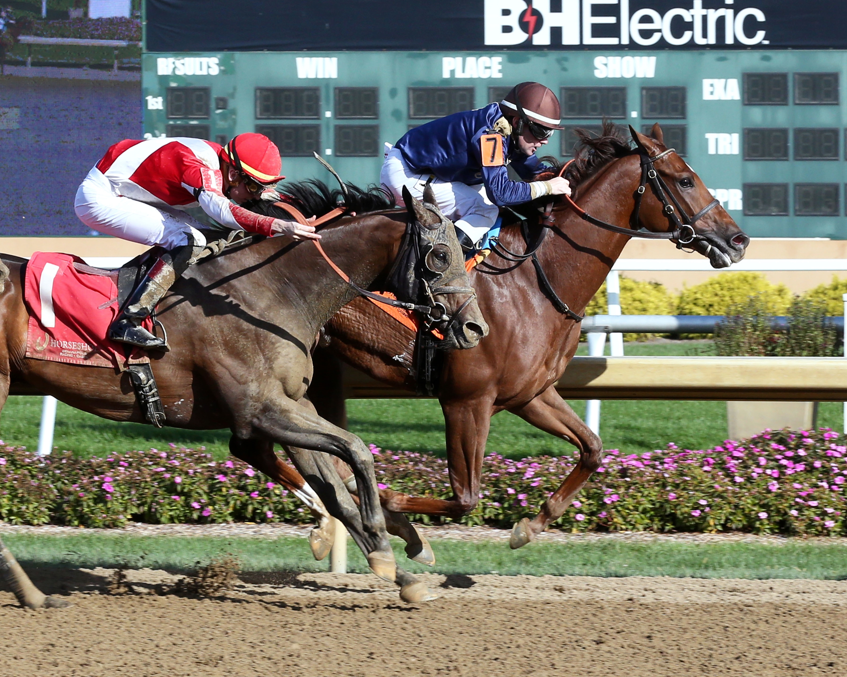 Take The Charge - Horse Profile - BloodHorse