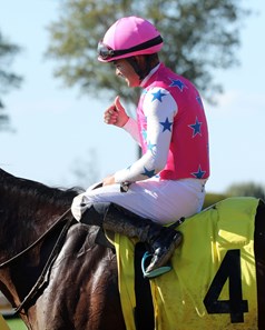 Raise Cain - Horse Profile - BloodHorse