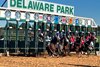 The start of the 2023 White Clay Creek Stakes at Delaware Park, won by Ringy Dingy (#9)