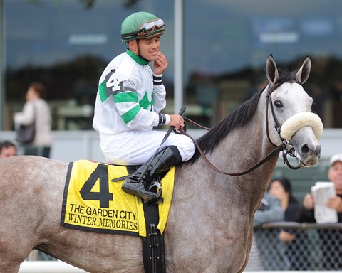 Winners - The Horses, The Memories, The Defining Moments