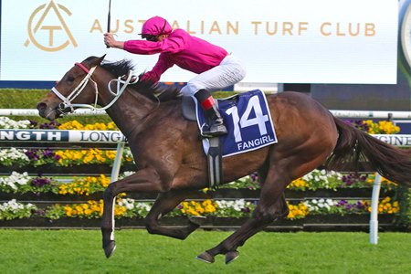 Fangirl wins the 2023 King Charles III Stakes at Randwick Racecourse