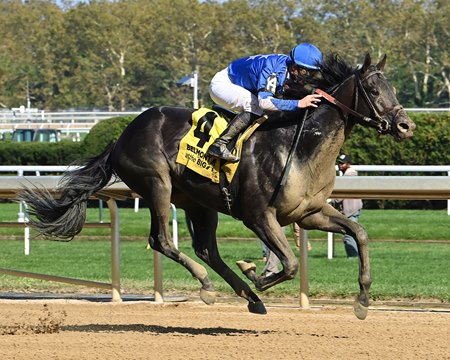 Zandon wins the Woodward Stakes at Belmont at the Big A