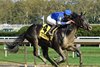 Zandon wins the Woodward Stakes on Sunday, October 1, 2023 at Belmont at the Big A