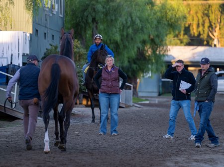 Veterinarians examine a horse at Santa Anita Park