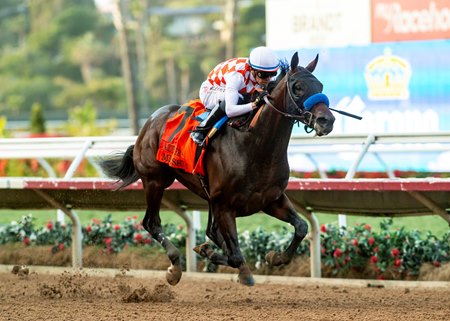 Mr Fisk takes the 2023 Native Diver Stakes at Del Mar