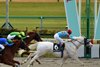 Amante Bianco wins the 2023 Cattleya Sho at Tokyo Racecourse