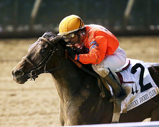 Danish Prince Thoroughbred Horse Profile - Next Race, Form, Stats, News, Breeding