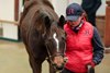 Lot 450 Havana Grey (GB) / Ebrah (GB) B.C. (GB)  	Jamie Railton (Agent)	Hazelwood Bloodstock	65,000
Tattersalls December Foal Sale
2023-11-28