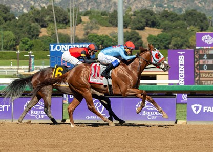Magic Spoon - Horse Profile - BloodHorse