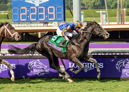 Auguste Rodin wins the 2023 Breeders' Cup Turf at Santa Anita Park