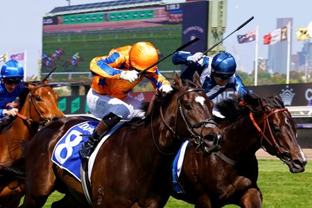 Imperatriz wins the Champions Sprint at Flemington Racecourse