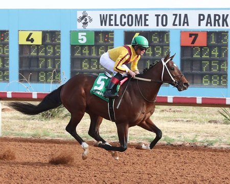 American Rascal wins the Zia Park Juvenile Stakes Nov. 28