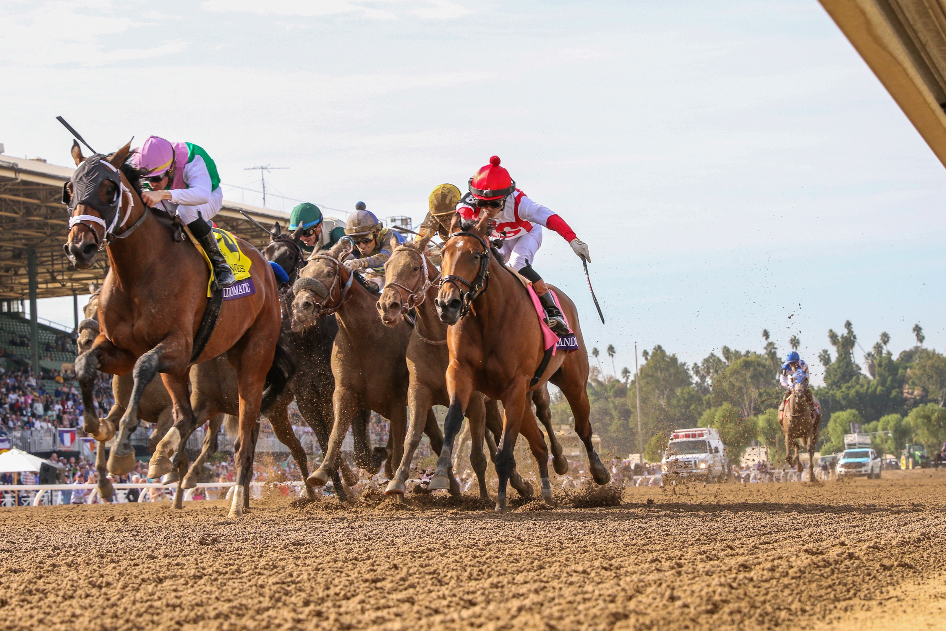 Juddmonte s Idiomatic Wins Hard Fought Distaff BloodHorse