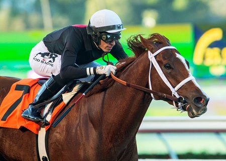 The Chosen Vron wins the 2023 Cary Grant Stakes at Del Mar