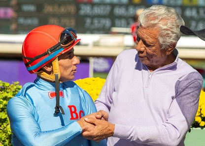 Magic Spoon - Horse Profile - BloodHorse